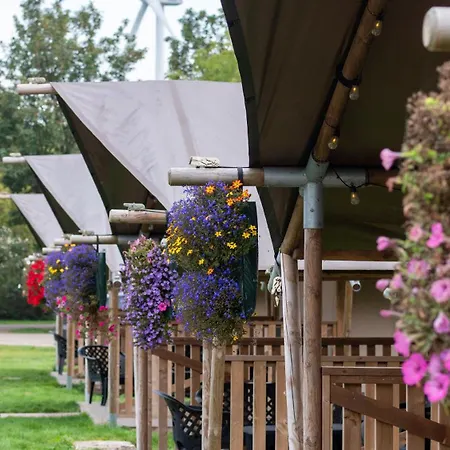 De Krabbeplaat Brielle