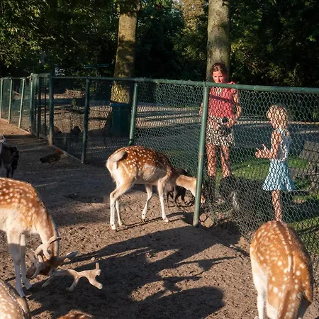 De Krabbeplaat Luksustelt