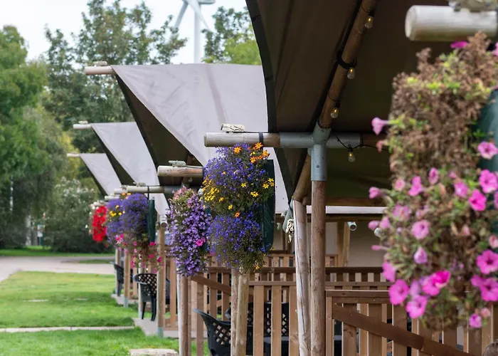 De Krabbeplaat بريله