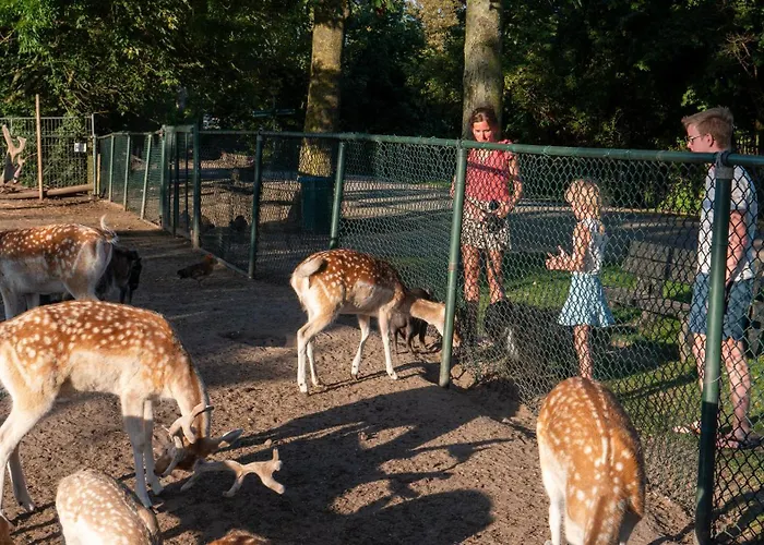 De Krabbeplaat خيمة فخمة