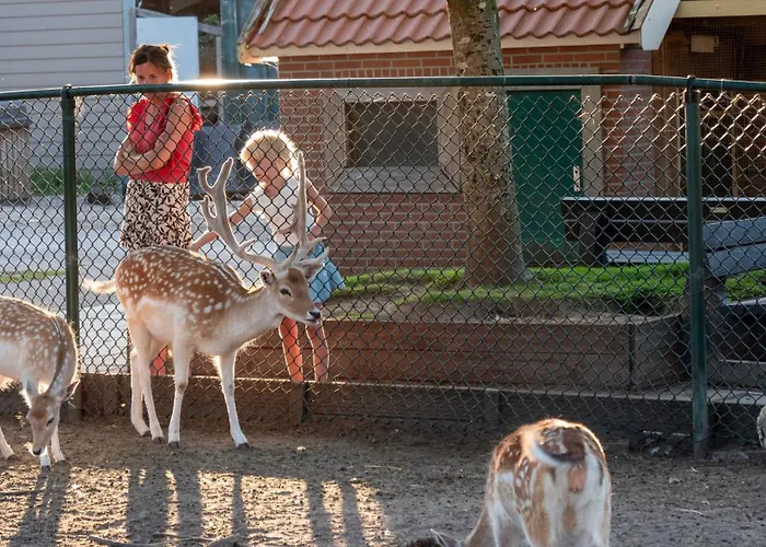 خيمة فخمة De Krabbeplaat بريله